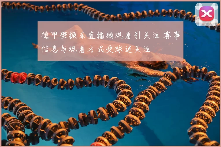 德甲樊振东直播线观看引关注 赛事信息与观看方式受球迷关注