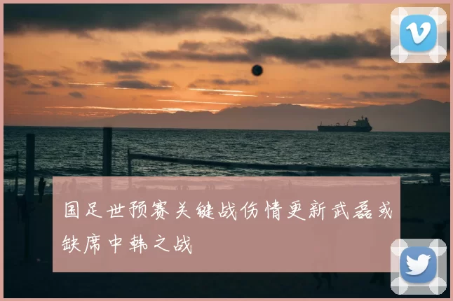 国足世预赛关键战伤情更新武磊或缺席中韩之战